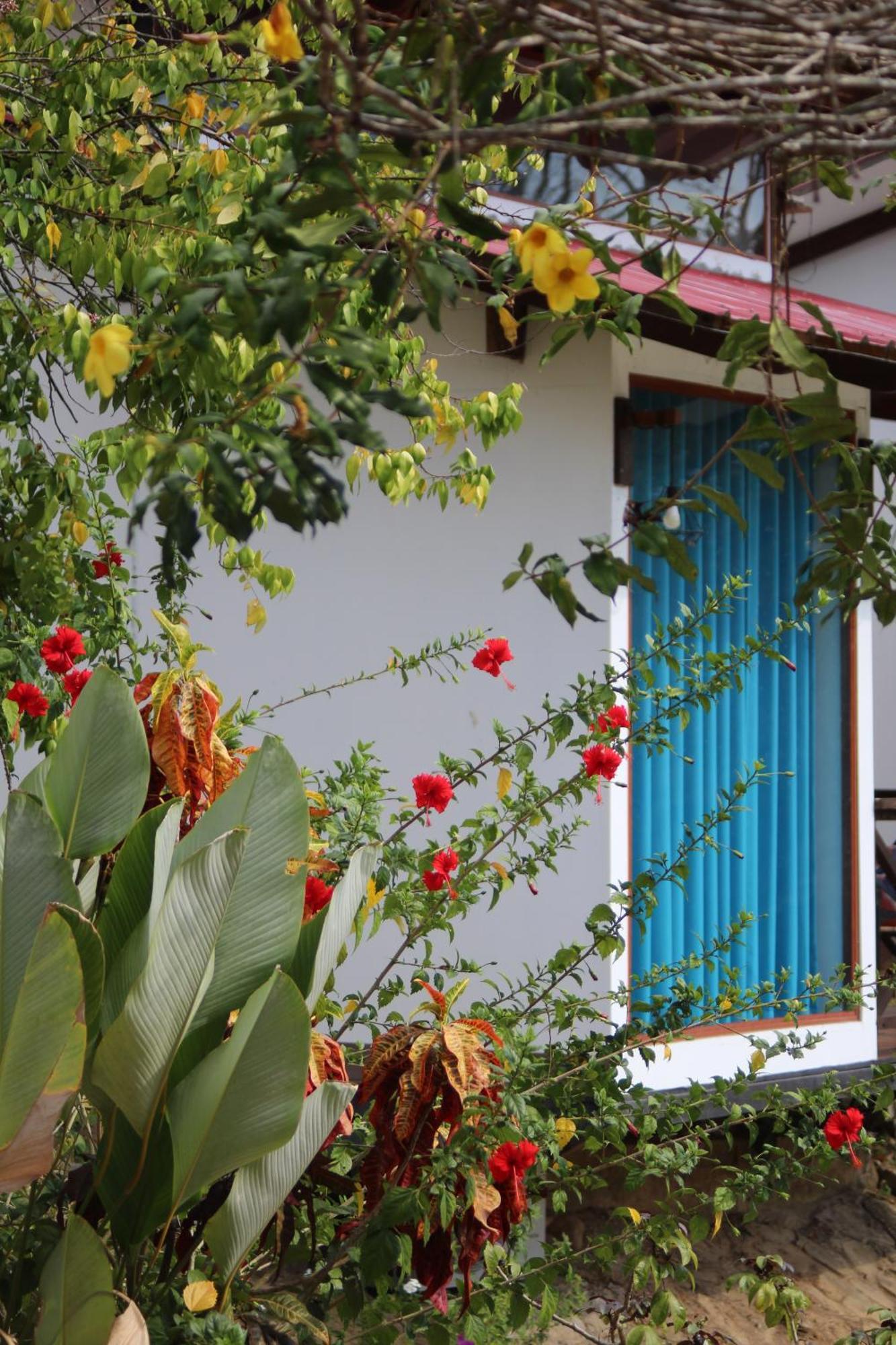 Hacienda Don Vicente Bungalows-タラポト エクステリア 写真